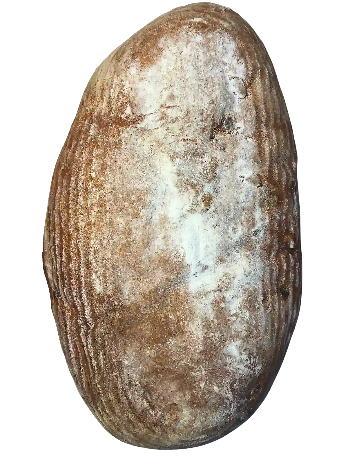 Chlieb tekvicový 600 g