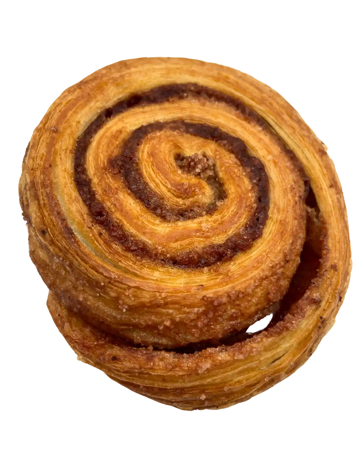 slimák škoricový 100 g